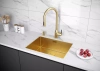 Дозатор для кухонной мойки Paulmark BREVIT D005-BG, золото брашированное