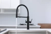 Смеситель для кухни Paulmark NEXUS Ne213999-AN, с подключением к фильтру, антрацит