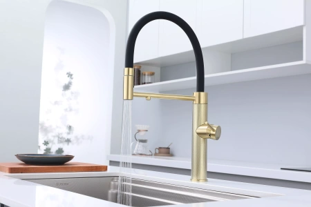 Смеситель для кухни Paulmark GANYMEDE Gd613199-LG, с подключением к фильтру, зотоло