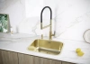 Дозатор для кухонной мойки Paulmark DECUS D004-LG, зотоло
