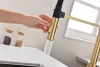Смеситель для кухни Paulmark Halt Ha214021-LG, зотоло