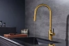 Смеситель для кухни Paulmark UNIVERSAL Un213880-BG, с подключением к фильтру, золото брашированное