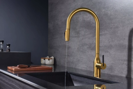 Смеситель для кухни Paulmark UNIVERSAL Un213880-BG, с подключением к фильтру, золото брашированное