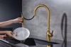 Смеситель для кухни Paulmark UNIVERSAL Un213880-BG, с подключением к фильтру, золото брашированное