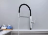 Смеситель для кухни Paulmark GANYMEDE Ga213199-CR, с подключением к фильтру, хром