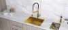 Дозатор для кухонной мойки Paulmark REIN D002-BG, золото брашированное