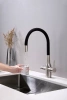 Смеситель для кухни Paulmark Salix Sa213419-BS, с гибким изливом, сталь