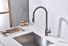 Смеситель для кухни Paulmark UNIVERSAL Un213880-GM, с подключением к фильтру, вороненая сталь