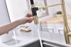 Смеситель для кухни Paulmark MAGNETO Ma213188-LG, с подключением к фильтру, зотоло