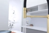 Смеситель для кухни Paulmark GANYMEDE Gd613199-LG, с подключением к фильтру, зотоло