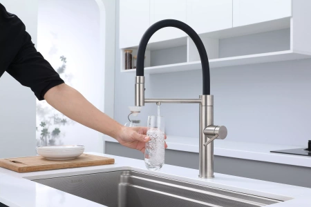 Смеситель для кухни Paulmark GANYMEDE Ga213199-BS, с подключением к фильтру, сталь