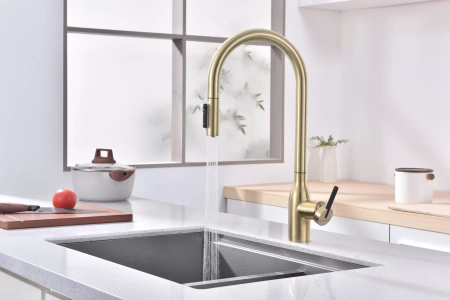 Смеситель для кухни Paulmark UNIVERSAL Un213880-LG, с подключением к фильтру, зотоло