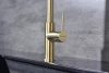 Смеситель для кухни Paulmark Galant Ga213077-LG, с подключением к фильтру, зотоло