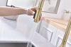 Смеситель для кухни Paulmark UNIVERSAL Un213880-LG, с подключением к фильтру, зотоло