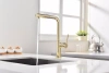 Смеситель для кухни Paulmark Neo Ne214419-G, золото