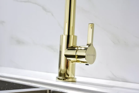 Смеситель для кухни Paulmark Halt Ha214021-G, золото
