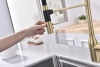 Смеситель для кухни Paulmark MAGNETO Ma213188-LG, с подключением к фильтру, зотоло