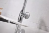 Смеситель для кухни Paulmark Bend Be212066-BS, сталь