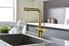 Смеситель для кухни Paulmark SERPENTINE Se213222-BG, с подключением к фильтру, золото брашированное