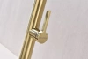 Смеситель для кухни Paulmark Leader Le214101-LG, с гибким изливом, зотоло