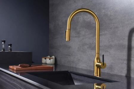 Смеситель для кухни Paulmark UNIVERSAL Un213880-BG, с подключением к фильтру, золото брашированное