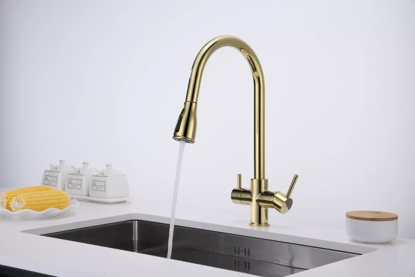 Смеситель для кухни Paulmark LANGE La214212-G, с подключением к фильтру, золото