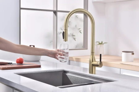 Смеситель для кухни Paulmark UNIVERSAL Un213880-LG, с подключением к фильтру, зотоло