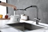 Смеситель для кухни Paulmark SERPENTINE Se213222-GM, с подключением к фильтру, вороненая сталь