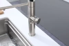 Смеситель для кухни Paulmark GANYMEDE Ga213199-BS, с подключением к фильтру, сталь