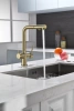 Смеситель для кухни Paulmark SERPENTINE Se213222-LG, с подключением к фильтру, зотоло