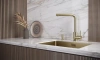 Смеситель для кухни Paulmark TWIN Tw213622-LG, с подключением к фильтру, зотоло