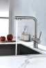 Смеситель для кухни Paulmark SERPENTINE Se213222-BS, с подключением к фильтру, сталь